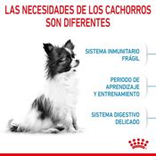 miniatura Royal Canin X-Small Puppy 1,5 kg 6