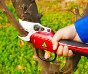 miniatura Tijeras de podar eléctricas Yatek 38 mm, EL46005 5