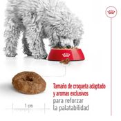 miniatura Royal Canin Mini Ageing 12+ 1,5 kg 6