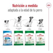 miniatura Royal Canin Mini Ageing 12+ 1,5 kg 7