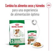 miniatura Royal Canin Mini Ageing 12+ 1,5 kg 8