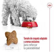 miniatura Royal Canin Mini Adult 8 kg 3