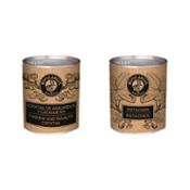 miniatura Pack 10 latitas minibar - Cocktail de anacardos y cacahuetes 5x60 g y Pistachos 5x36 g