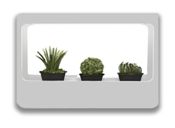 miniatura Kit de crecimiento de plantas para uso interior con temporizador 2