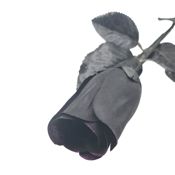 miniatura Rosa negra 44cm