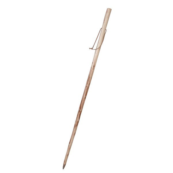 Bastón de madera natural para buscar setas