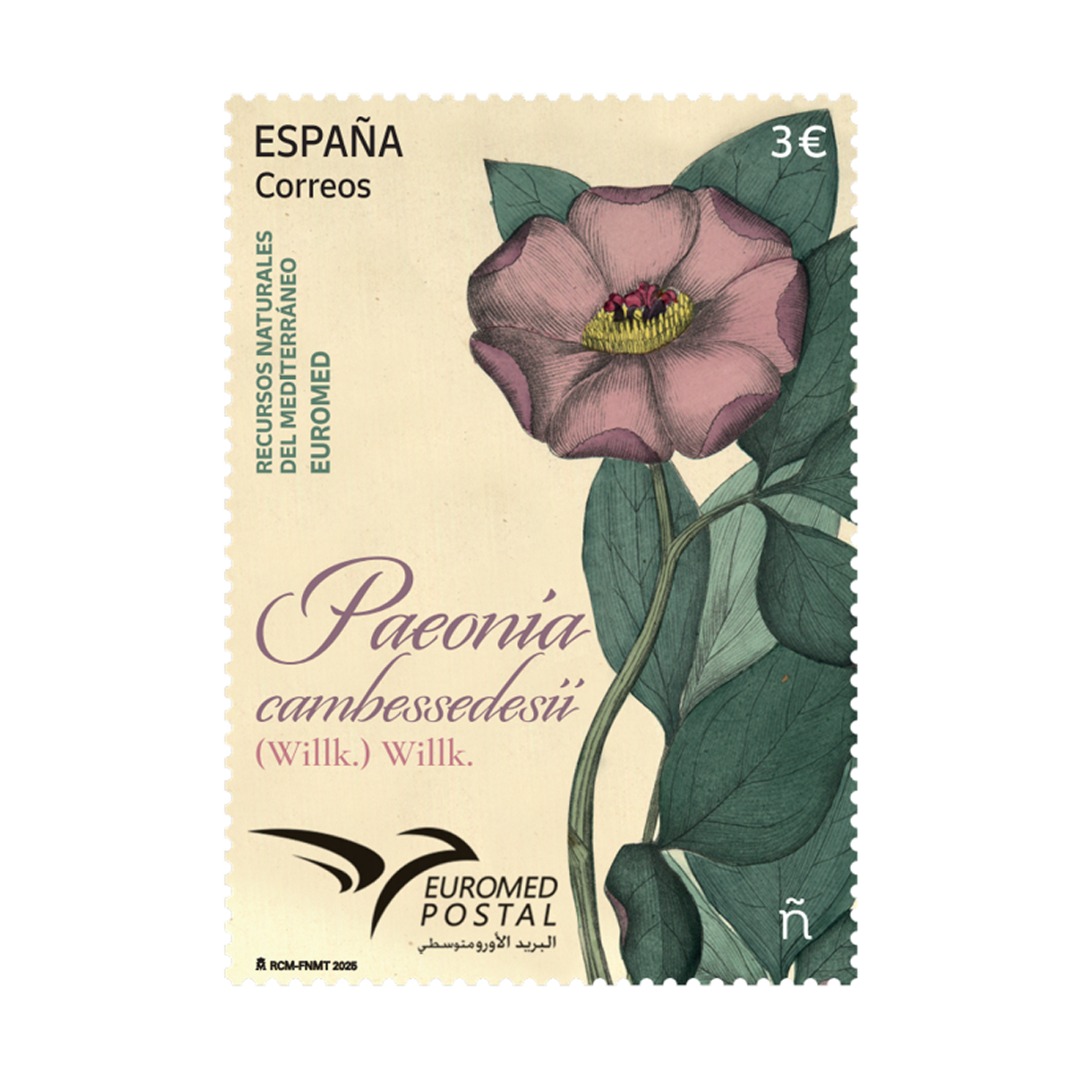 Sello Paeonia cambessedesii