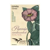 miniatura Detalle sello Paeonia cambessedesii