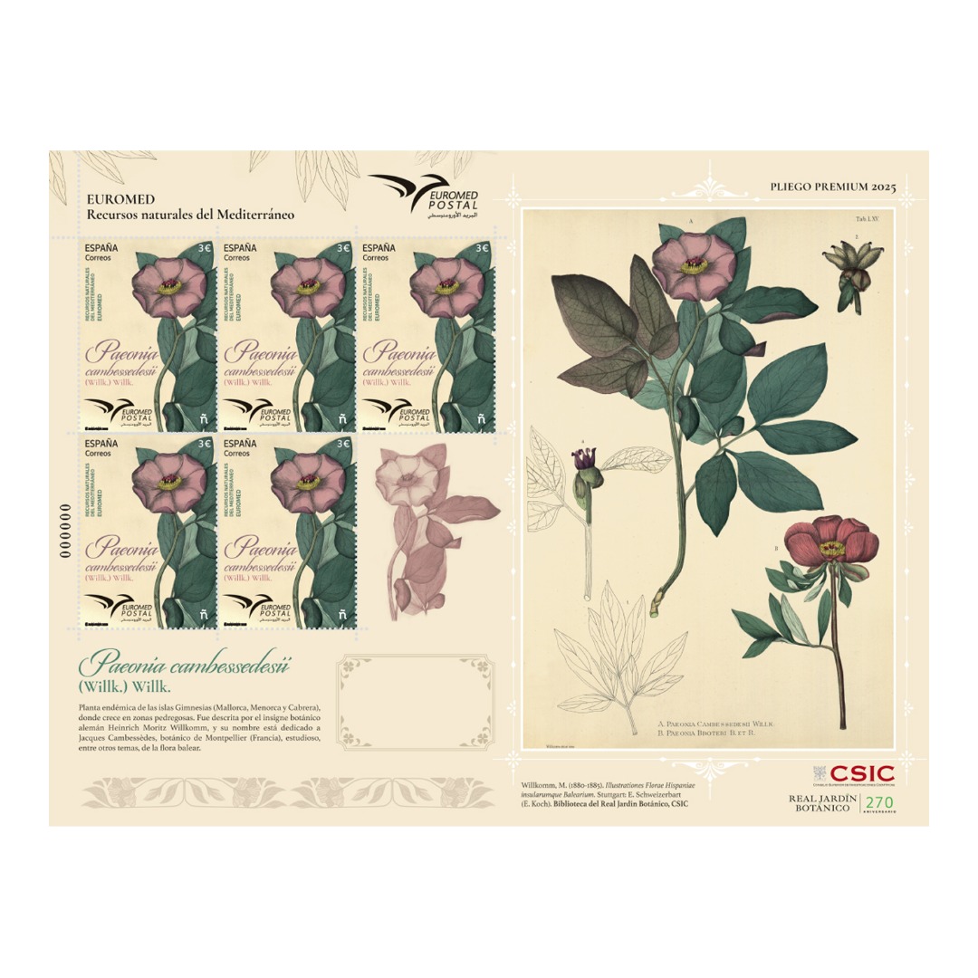 Pliego Premium Sello Paeonia cambessedesii