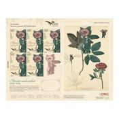 miniatura Pliego Premium Sello Paeonia cambessedesii