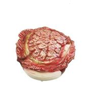 miniatura Gorro sesos látex 1