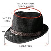 miniatura Protección Solar