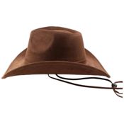 miniatura Conciertos Country Eventos Especiales