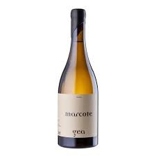 Vino Marcote