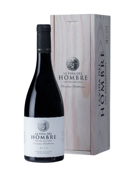 La Viña del Hombre Los Balancines