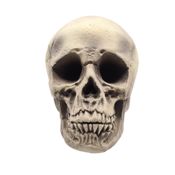 miniatura Cráneo Decorativo Halloween 20x14x14 – Accesorio Realista