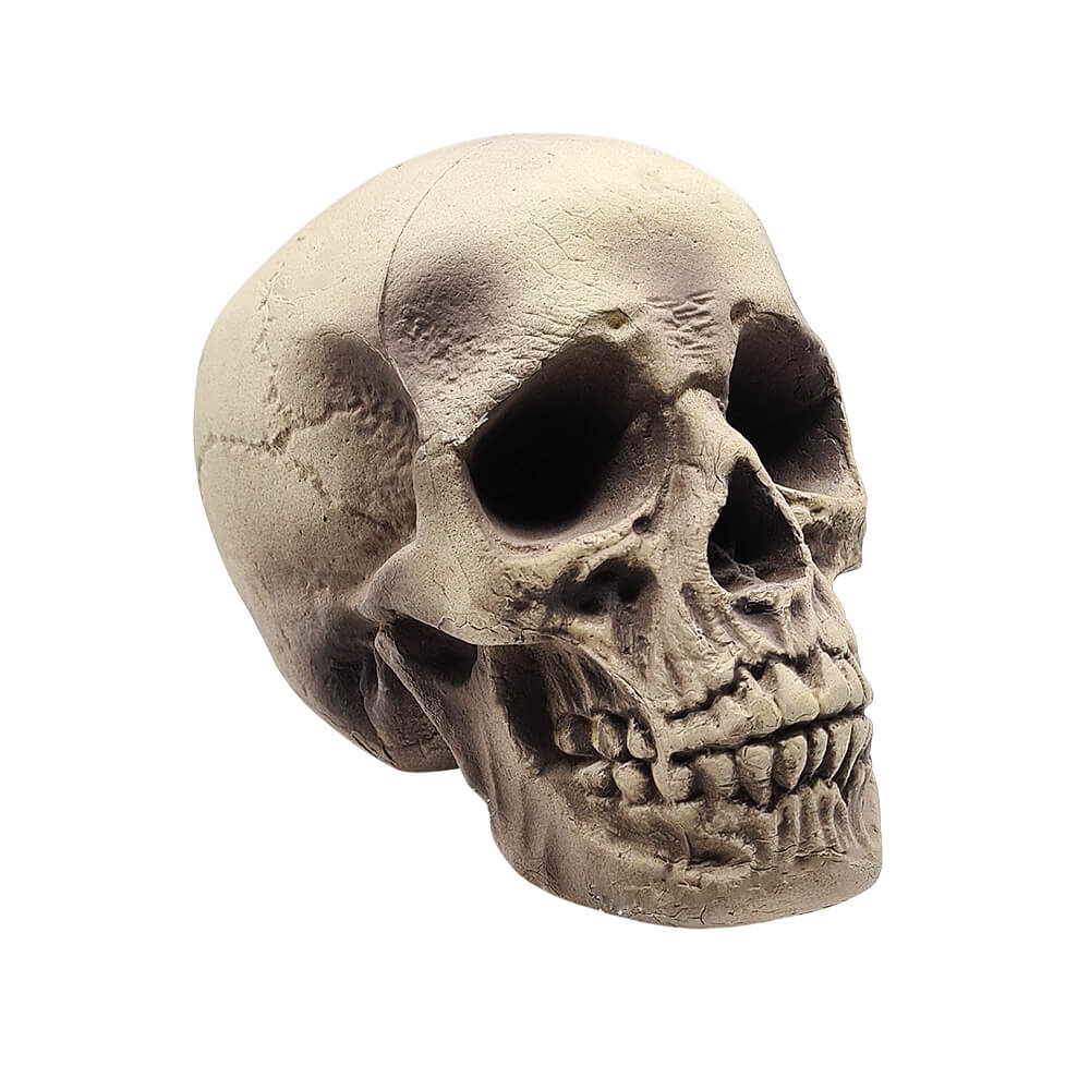 Cráneo Decorativo Halloween 20x14x14 cm - Accesorio Realista
