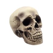 miniatura Cráneo Decorativo Halloween 20x14x14 cm - Accesorio Realista