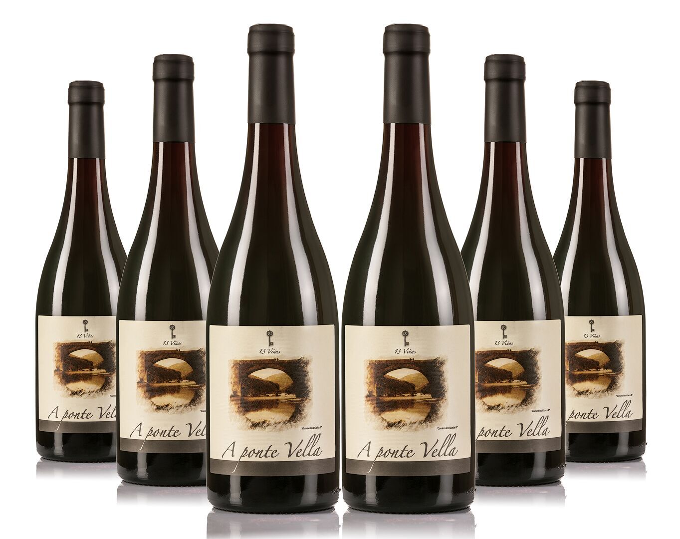 Caja 6 unidades Ponte Vella tinto reserva