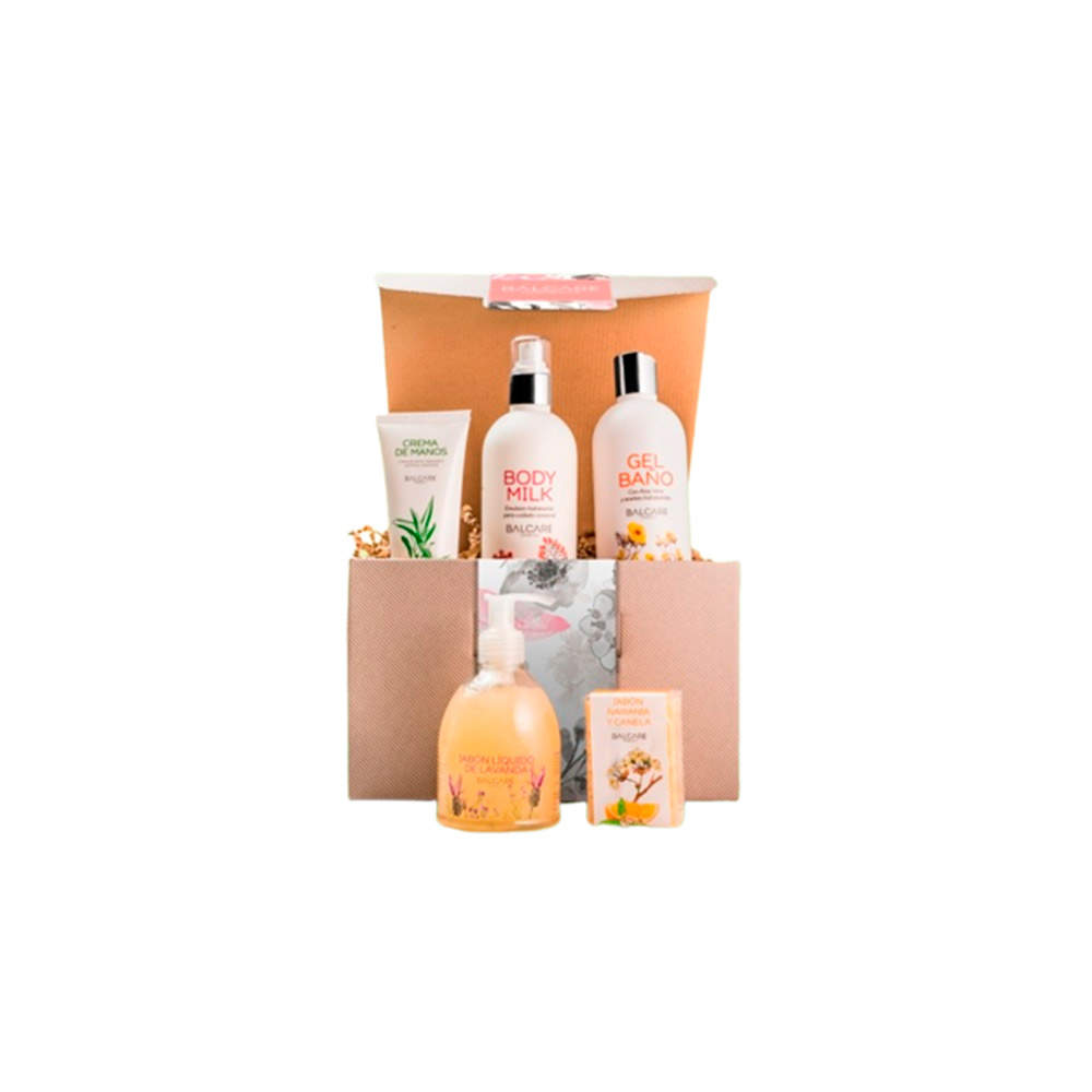 Lote de Navidad 01 (crema de manos + jabón líquido de manos + body milk + gel de baño + pastilla de jabón)