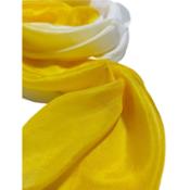 miniatura Hermes Mimosa 4