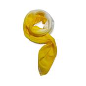 miniatura Hermes Mimosa 2