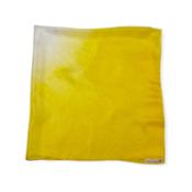 miniatura Hermes Mimosa