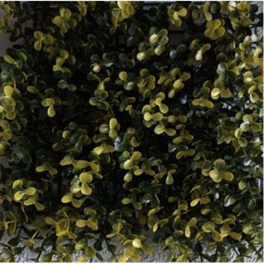 Jardín Vertical Acacias