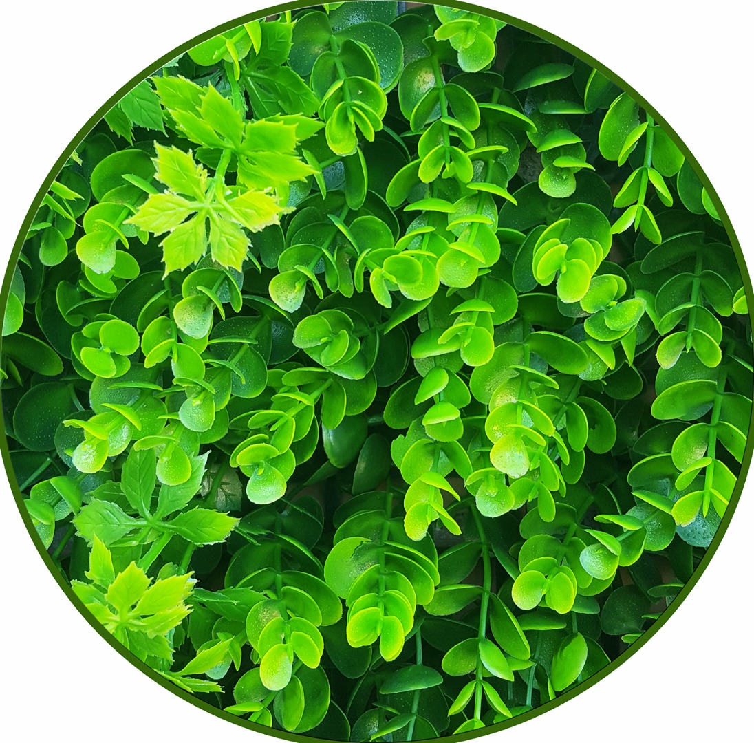 Jardín Vertical Bosque