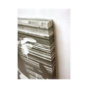 miniatura Cuadro de Audrey Hepburn mariposas 2