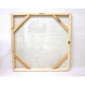 miniatura Cuadro de Audrey Hepburn mariposas 3