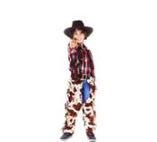 miniatura disfraz-de-vaquero-del-viejo-oeste-para-nino-17852.jpg