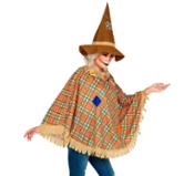 miniatura disfraz-o-poncho-de-espantapajaros-con-sombrero-para-adulto-17446.jpg