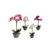 miniatura Colores Orquídea artificial en maceta ovalada gris colores varios  Orchis