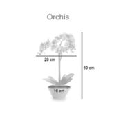 miniatura Medidas Orquídea artificial en maceta ovalada gris colores varios  Orchis