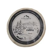 miniatura Queso de cabra curado artesanal | Collados Quesería de frente