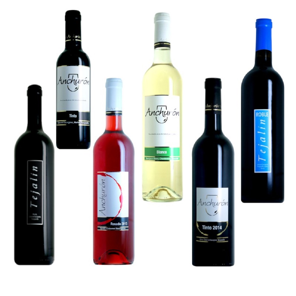 Pack Degustación Básico de 6