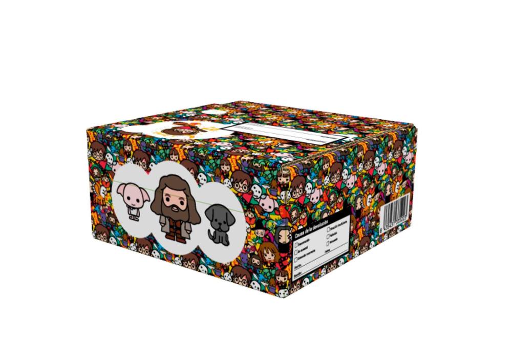 Caja Harry Potter pequeña de lado Correos