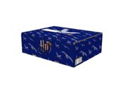 miniatura Caja mediana Harry Potter Correos
