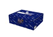 miniatura Caja mediana Harry Potter lateral snitch Correos