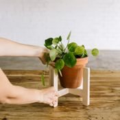 miniatura Soporte para macetas - La Selva