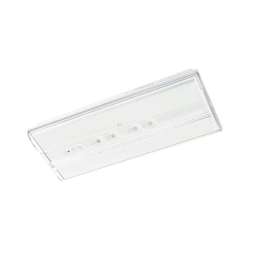 Zemper Luz de emergencia Recargable LED 100 l