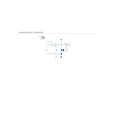 miniatura Interruptor diferencial superinmunizado