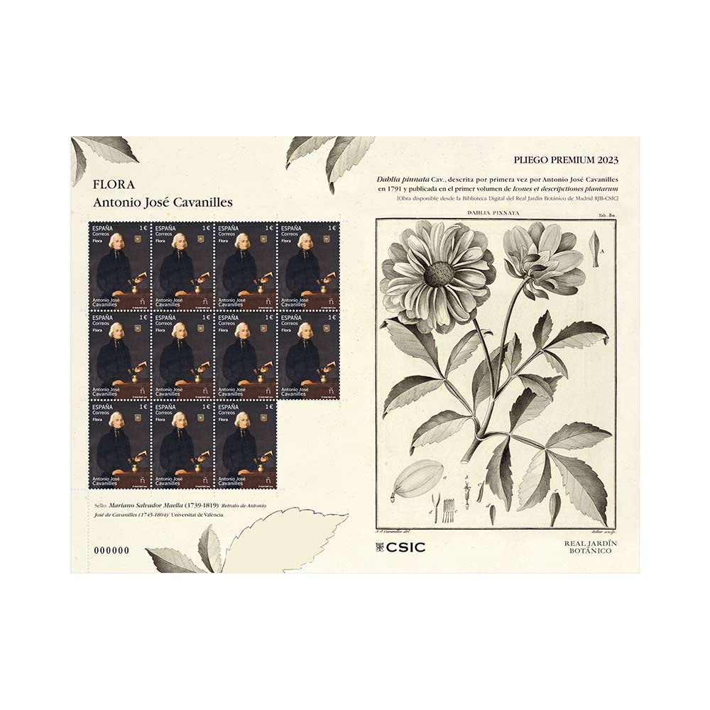 pliego premium Cavanilles serie Flora Jardín Botánico