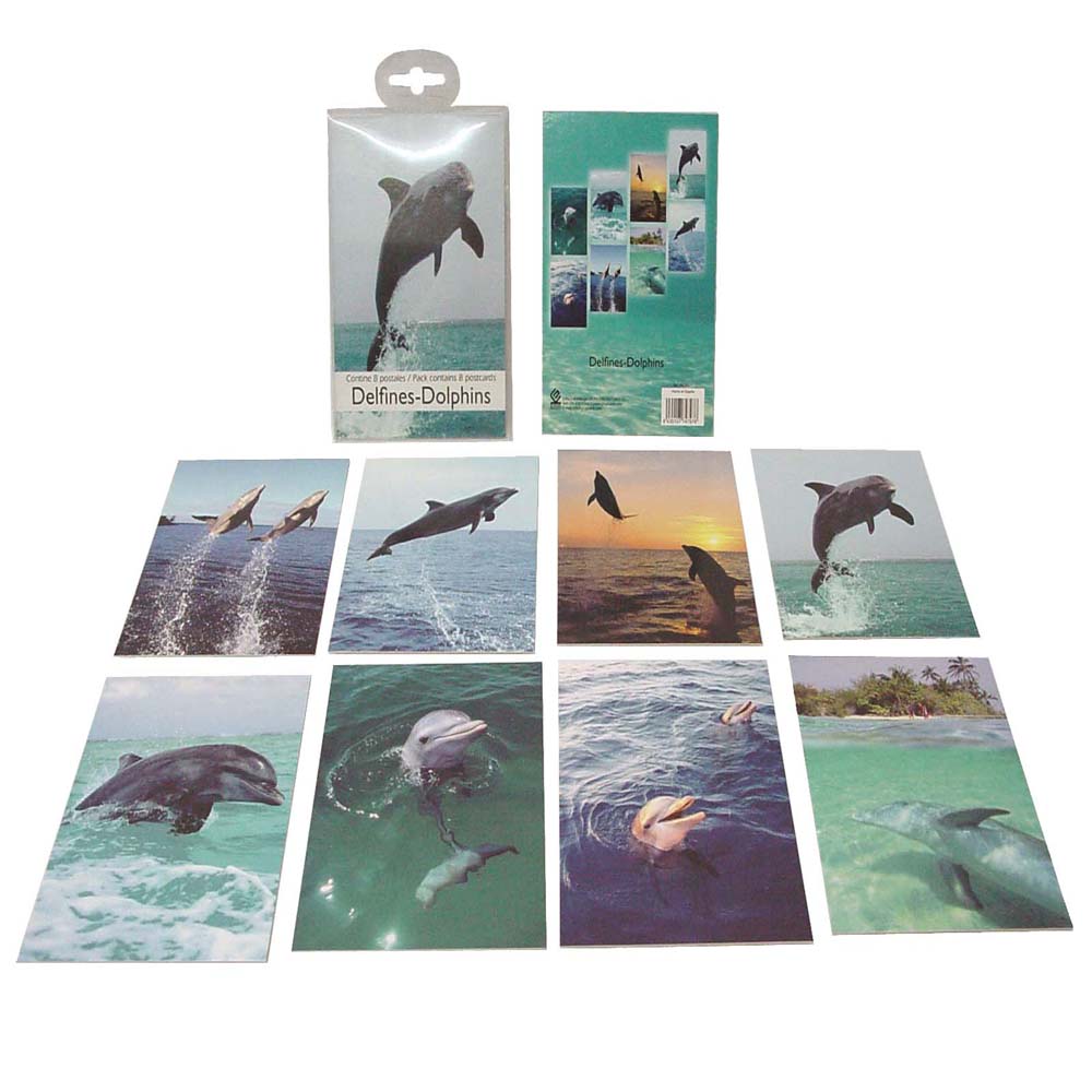 Set 8 Tarjetas Postales Delfines