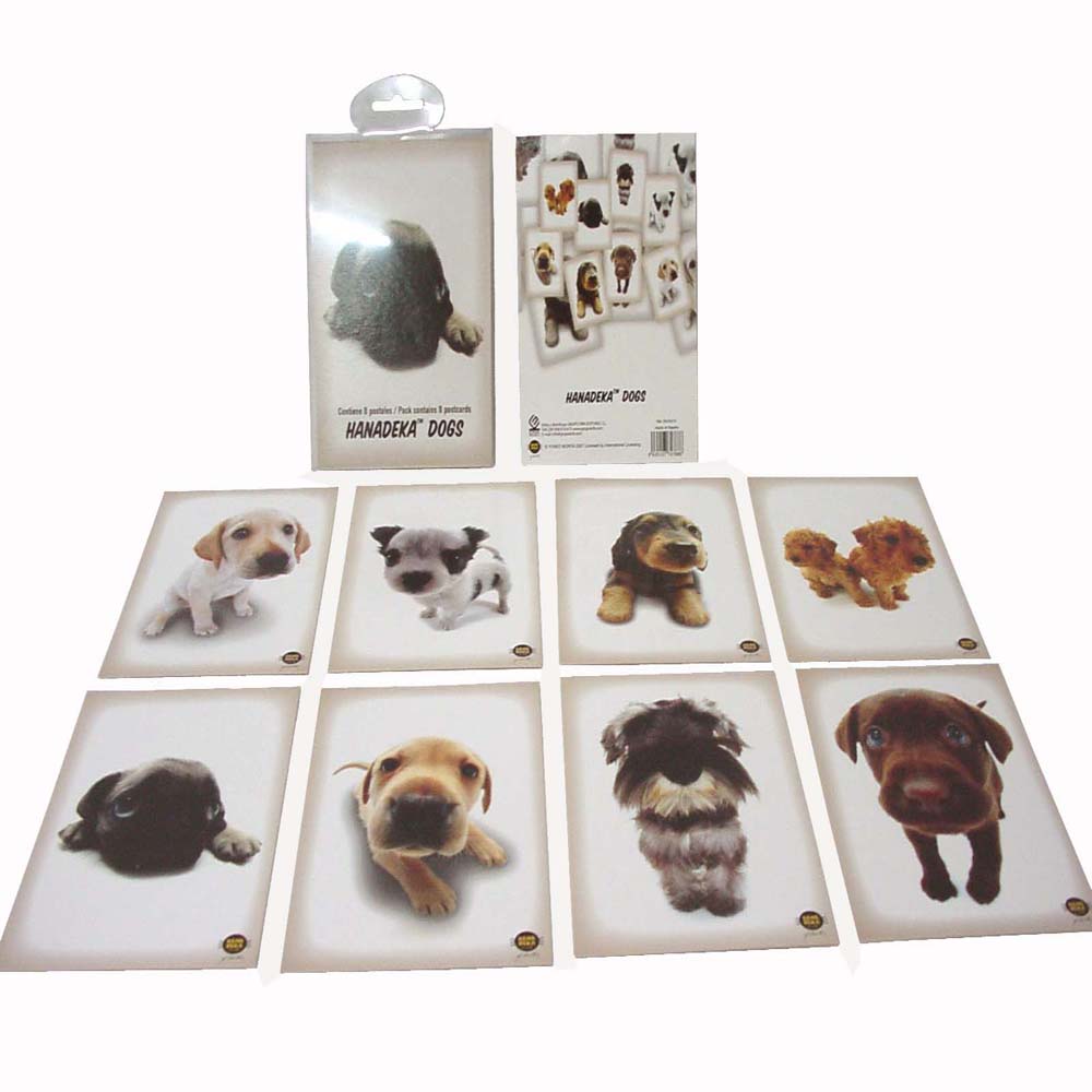 Working House Set 8 Tarjetas Postales Perritos