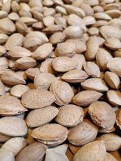miniatura Almendra ecológica con cáscara de agricultura regenerativa 1kg 3