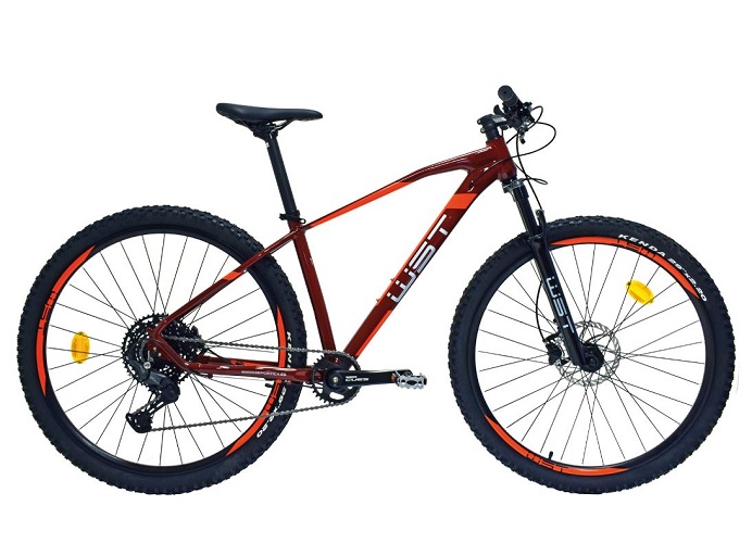 Bicicleta WST Poison 9410 10V Shimano Cues T. S