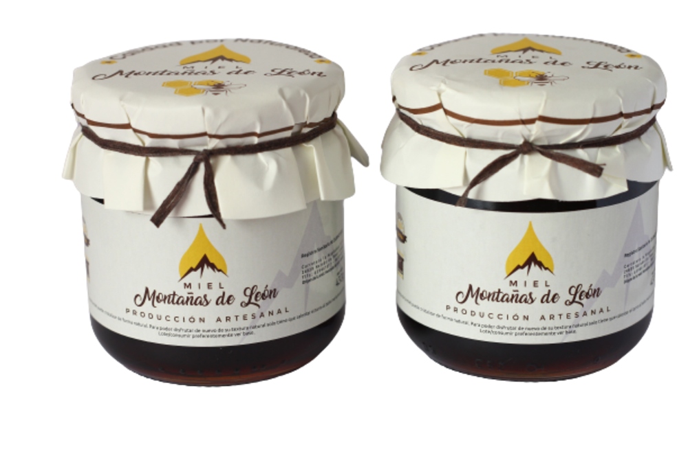 Lote de 2 botes de Miel Montañas de León de 430 g.