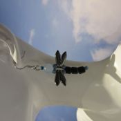 miniatura libélulas negro y azul